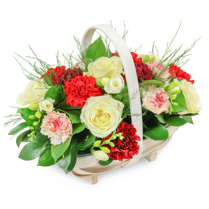 A tender and elegant funeral arrangement is captured in this image, crafted in a shallow, oval wooden basket that feels perfectly at home in the calm, residential streets around Notting Hill Gate. The basket is fashioned from pale wood slats, slightly curved to form a gentle oblong shape, supported by four small feet that lift it lightly from the surface. An arched handle, smooth and light in colour, frames the flowers and gives the composition a classic, almost timeless silhouette. Inside, the blooms are densely arranged into a rounded mound, creating a sense of fullness and quiet abundance. Large, creamy white roses form focal points throughout the design, their petals unfolding in velvety layers that speak of purity, farewell, and grace. Around them, vivid red carnations cluster in generous groups; their deeply ruffled petals create waves of scarlet that symbolise affection and remembrance. Softening this bold contrast are paler carnations in shades of blush and white, some delicately edged or flecked with pink and red, adding nuance and gentleness to the palette. Fine stems of white freesias are tucked among the larger blossoms, some flowers open and bell-shaped, others still in bud, suggesting continuity and hope. A lush base of deep green foliage-likely ruscus or salal-fans out beneath and between the blooms, while wispy fern or asparagus plumosa lifts the eye upward with feathery, almost cloud-like texture. The clean white background isolates the basket so every petal and leaf is clearly visible. The overall mood is one of soft dignity and compassion, an arrangement well suited for a memorial or funeral service, or for delivery to a family home in Notting Hill as a gentle expression of sympathy.