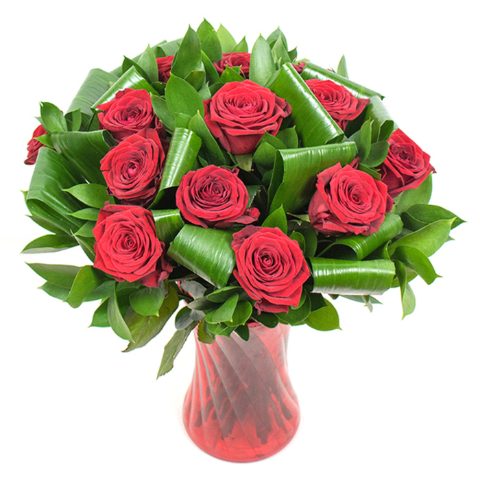A sumptuous bouquet of twelve or more deep crimson roses is captured here in precise, tender detail, the petals unfolding in tight, velvety spirals that give each bloom a luminous, almost tactile depth. The saturated red of the roses is intensified by soft, even lighting that traces the gentle curves of each petal and reveals subtle tonal shifts from ruby to wine. Nestled among the heads is a lavish mix of dark green foliage; narrow, glossy leaves create a dense, verdant backdrop, while broader, shiny leaves have been expertly shaped into folded and rolled loops, their sculptural forms curling around the roses like green ribbons. These architectural leaf accents introduce a modern sophistication, guiding the eye through layers of texture and contrast. The stems are arranged in a tall, translucent ruby red glass vase with a faintly ribbed, twisted surface that catches the light in vertical strokes, complementing the flowers without overwhelming them. Set against a pristine white background, the composition feels both intimate and gallery-clean, emphasizing freshness and craft. The bouquet evokes classic romance and quiet celebration, a scent of fresh-cut roses and the soft rustle of leaves almost perceptible. Locally made for Notting Hill homes and shops, this arrangement is well suited to anniversaries, Valentine's Day, or a heartfelt gesture delivered to addresses around Portobello Road and Holland Park. As prepared by Notting Hill Flowers, the piece balances timeless sentiment with contemporary floral design and local sensibility.