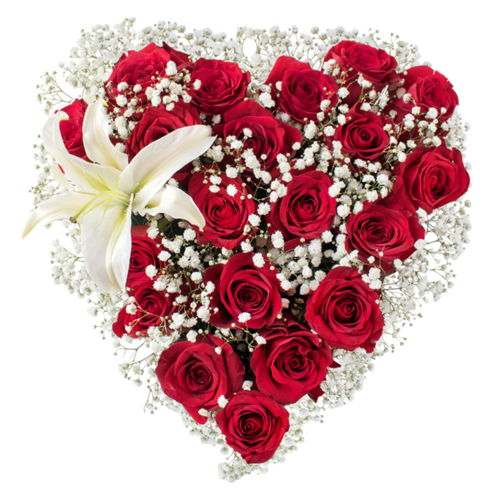 A meticulously shaped heart of intense crimson roses dominates a crisp white field, each rose layered with velvety petals that open in stages from compact buds to generous, shadowed blooms. Interspersed throughout and edging the heart are delicate sprays of white baby's breath (Gypsophila), their tiny, pearly flowers creating a soft, cloud-like matrix that both frames and lightens the richness of the red. In the upper-left curve a single white lily commands attention: broad, sculptural petals of pure white with a whisper of creamy yellow near the centre and vivid yellow stamens that add an elegant focal note. The roses are tightly packed to hold the heart silhouette, while the gypsophila's feathery texture offers contrast and a gentle halo effect, producing a layered depth that reads beautifully from any angle. The lighting is soft and even, making the reds glow and the lily's surface appear almost satiny; the arrangement suggests the mingled scents of classic rose and fresh lily without overwhelming. As a local florist working in Notting Hill, near Westbourne Grove and the Portobello Road market, we craft pieces like this for romantic gestures, anniversary surprises, or refined tributes - and Notting Hill Flowers arranges each one with attention to balance, texture, and delivery readiness across the neighbourhood. The piece feels intimate yet sumptuous, speaking of devotion through colour, form, and expert handwork.