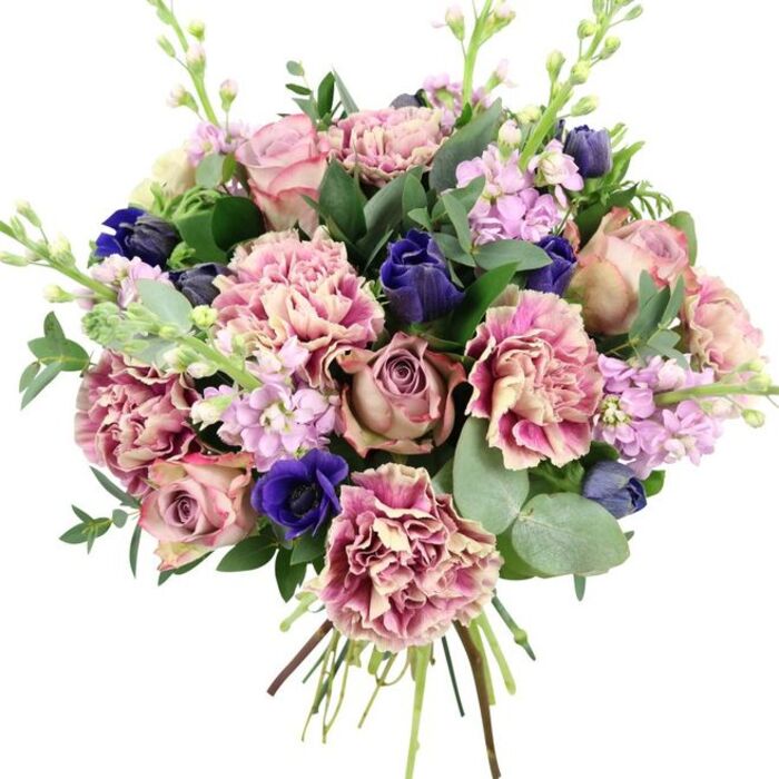 A luxurious hand-tied bouquet sits against a smooth white backdrop, its colours reminiscent of the pastel terraces and artistic flair of Notting Hill. At the core, several large garden roses open fully, petals layered in generous spirals of dusty rose, blush pink, and muted mauve, suggesting a soft, nostalgic romance. Nestled between these are abundant ruffled carnations, each flower like a miniature piece of fabric art, fading from creamy beige and pale blush in the centre to deeper rose, fuchsia, and plum tones along the scalloped edges. Threads of rich, indigo-blue blooms, shaped like compact, tulip-like buds, slip through the composition, adding contrast and depth. Near the lower front, a striking royal blue anemone with a nearly black centre provides a dramatic focal point, drawing the viewer's attention like the central motif of a painting. Delicate stems of lilac and pale lavender stock rise gracefully through the bouquet, their tightly clustered blossoms giving a light, vertical structure and hinting at a gentle, powdery fragrance. Around the flowers, fresh greenery is woven with care: darker, glossy leaves lend backbone, while round, silvery-green eucalyptus leaves introduce a cool, contemporary note and a sense of calm. The stems are gathered and left visible at the base, showcasing the natural hand-tied style favoured by local florists for elegant home displays off Westbourne Grove or nearby garden squares. The overall blend of romantic pinks, ethereal purples, dramatic blues, and lush greens creates a bouquet that feels ideal for weddings, anniversaries, spring celebrations, or as a sophisticated gift, capturing both the charm and quiet luxury of Notting Hill living.
