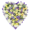 A densely packed heart-shaped floral tribute rests against a clean white studio backdrop, its silhouette crisply defined by a looped purple satin ribbon that runs the entire perimeter. The mass of blooms is soft and gentle: abundant cream and pale yellow roses-some in tight buds, others unfurling-form a luxurious, velvety foundation, while cloud-like white carnations fill the interior with ruffled texture and comforting volume. Sprigs of delicate lavender statice and small, daisy-like purple asters with sunny yellow centers scatter across the heart, providing jewel-like punctuations of deeper colour and a subtle, wildflower lift amid the pastel palette. Rounded, blue-green eucalyptus leaves are tucked through the blooms, their silvery sheen and rounded shapes interrupting the floral density with calm, architectural accents and an implied cool, resinous scent. The overall lighting is soft and even, highlighting petal translucence and the polished sheen of the satin ribbon without harsh shadows, producing a feeling of quiet dignity. This arrangement reads as both an artisan's statement and a sincere memorial: the cool lavenders and creams speak of remembrance and tender consolation, while the rich purple border gives the piece a finished, reverent frame. It is the sort of tribute chosen for funeral chapels, wakes, or a graveside committal, where its heart shape and serene colours convey lasting love, respect, and gentle condolence. The craftsmanship is careful and unobtrusive, inviting those who view it to pause, remember, and find a small measure of peace in its composed, soothing presence.