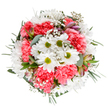 This vibrant bouquet brings to mind the blossoming lanes and colourful markets of Notting Hill in early spring, artfully capturing the joy and renewal woven into the community. At its centre, immaculate white daisies with bright green centres shine with a gentle optimism, while clouds of ruffled coral-pink carnations ripple around them, adding cheer and depth. Delicate stars of gypsophila dance across the arrangement, softening and enlivening the overall texture, as slender alstroemeria buds with hints of purple and pink peek from between verdant eucalyptus and glossy greenery. The result is a harmonious palette: light, uplifting, and perfectly balanced, echoing the relaxed sophistication of Notting Hill evenings near Hyde Park. Every floral element seems placed with care, inviting the viewer to sense the crisp fragrance and tactile softness, much as a local florist would hand-craft a bouquet for a birthday, a table in a Westbourne apartment, or a heartfelt delivery to a neighbour. The isolated composition on a pure white backdrop makes each detail stand out, offering both tranquility and exuberance-a loving tribute to life's bright moments as seen by a Notting Hill floral artisan.